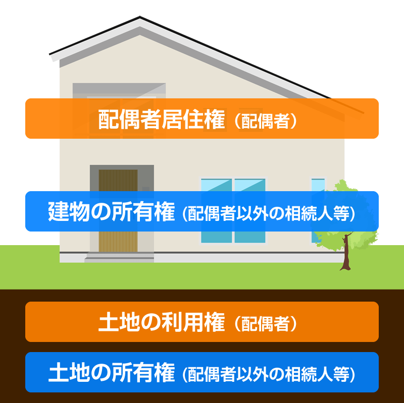 配偶者居住権のイメージ